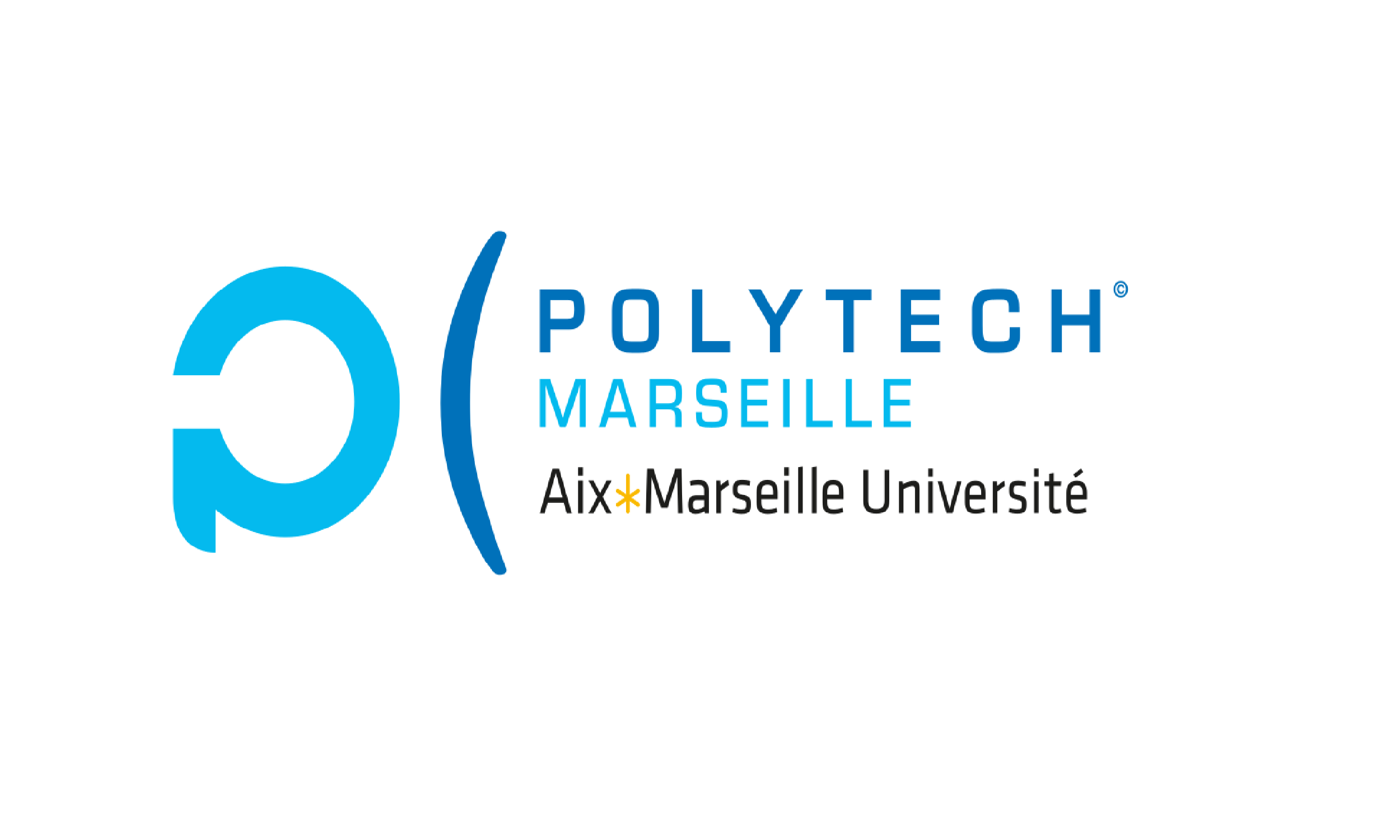 polytech-marseille-logo